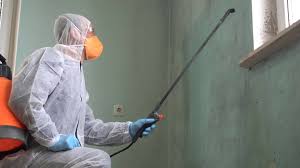 Trusted Canadian Lakes, MI Mold Removal Services Experts